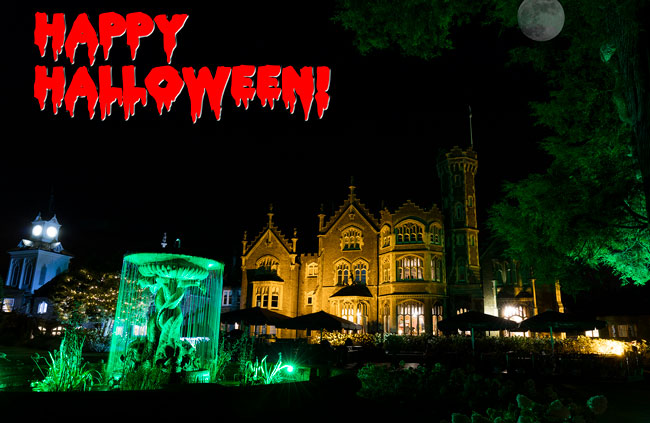 Happy Halloween
