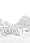 Colour in