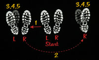Time Warp instructions