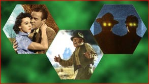 Image Montage