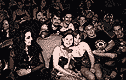 Click for larger