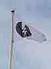 Flag Flies