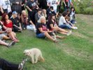 Click for larger image