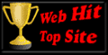 Top Site